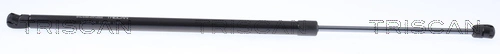 Gas Spring, boot/cargo area