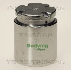 Piston, brake caliper