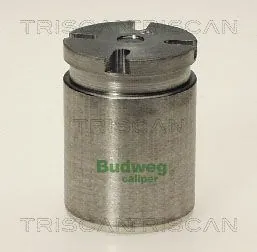 Piston, brake caliper