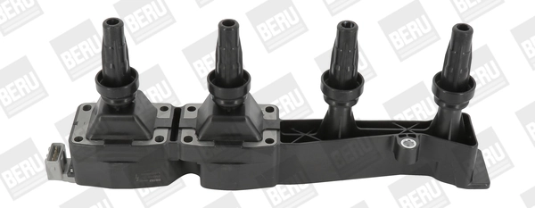BORGWARNER (BERU) ZSE045