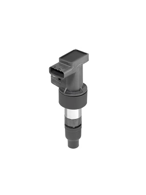 BORGWARNER (BERU) ZSE205