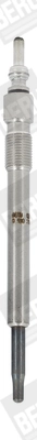 BERU GN050