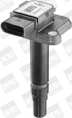 Bobine d'allumage BorgWarner (BERU) ZSE009