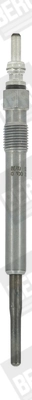 BORGWARNER (BERU) GN008