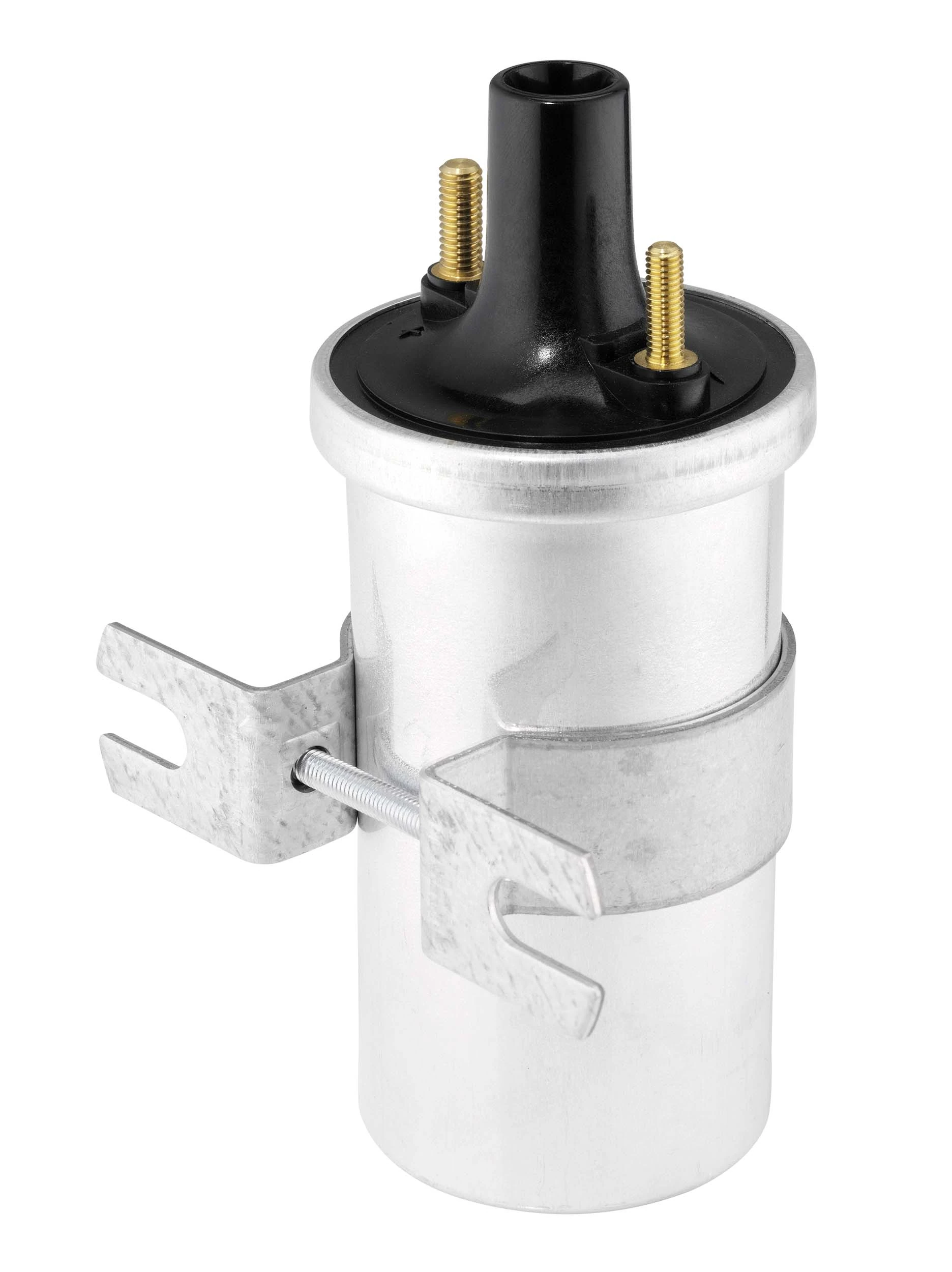 Bobine d'allumage BorgWarner (BERU) ZS570