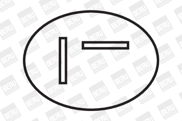 Bobine d'allumage BorgWarner (BERU) ZS282