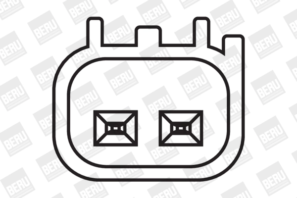 Bobine d'allumage BorgWarner (BERU) ZS409