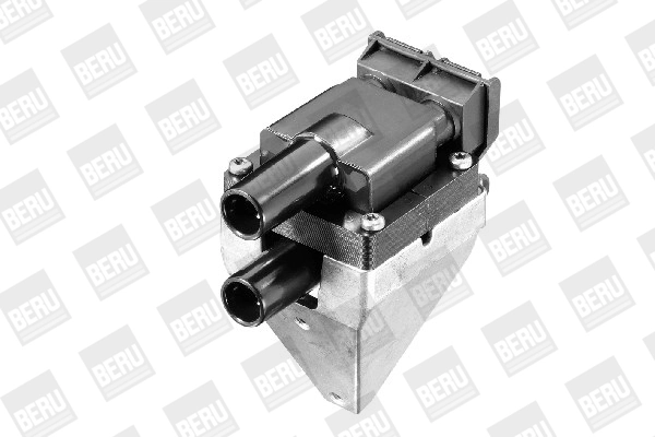 Bobine d'allumage BorgWarner (BERU) ZS313