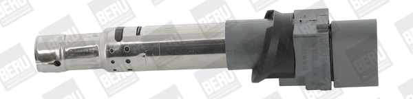 BORGWARNER (BERU) ZSE041