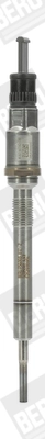 BORGWARNER (BERU) PSG003