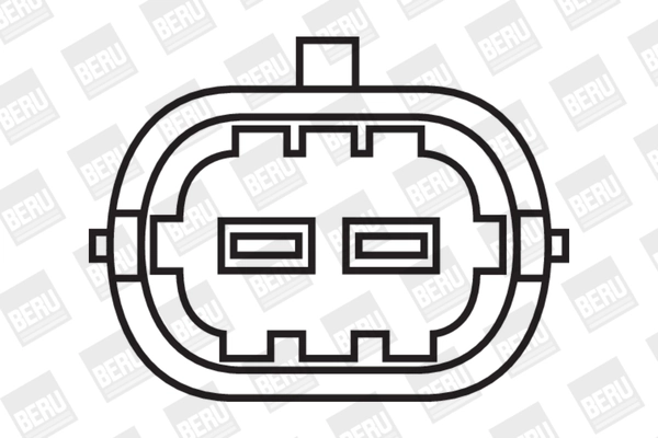 Bobine d'allumage BorgWarner (BERU) ZS309