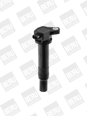 Bobine d'allumage BorgWarner (BERU) ZS481