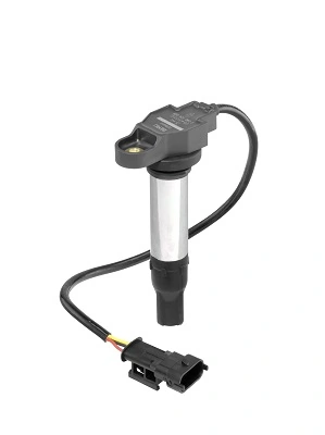 Bobine d'allumage BorgWarner (BERU) ZS441