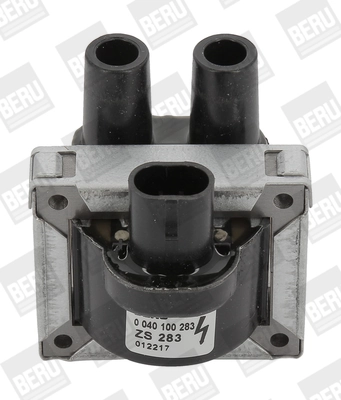 BORGWARNER (BERU) ZS283