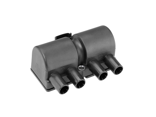 Bobine d'allumage BorgWarner (BERU) ZS545