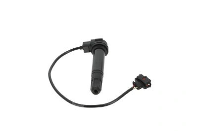 Bobine d'allumage BorgWarner (BERU) ZS378