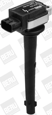 Bobine d'allumage BorgWarner (BERU) ZSE056
