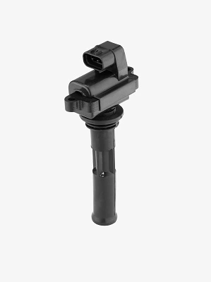 Bobine d'allumage BorgWarner (BERU) ZS549