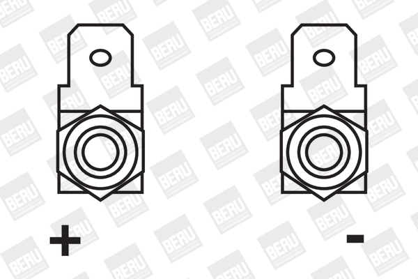 Bobine d'allumage BorgWarner (BERU) ZS215