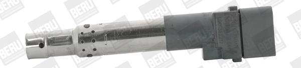 BORGWARNER (BERU) ZSE044