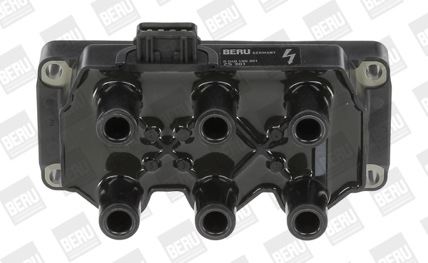 Bobine d'allumage BorgWarner (BERU) ZS301