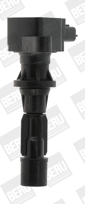 Bobine d'allumage BorgWarner (BERU) ZS488