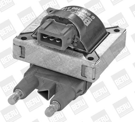 Bobine d'allumage BorgWarner (BERU) ZS319