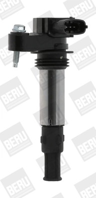 BORGWARNER (BERU) ZSE174