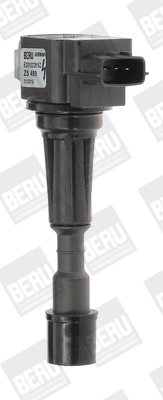 BORGWARNER (BERU) ZS489