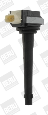 BORGWARNER (BERU) ZSE161