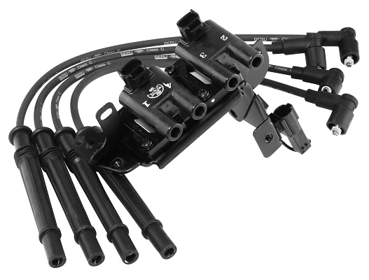 Bobine d'allumage BorgWarner (BERU) ZS483