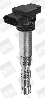Bobine d'allumage BorgWarner (BERU) ZSE031