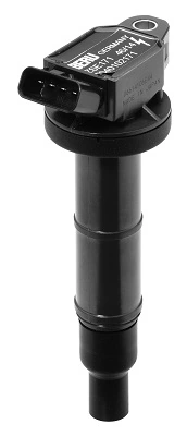 Bobine d'allumage BorgWarner (BERU) ZSE171