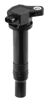 Bobine d'allumage BorgWarner (BERU) ZS481