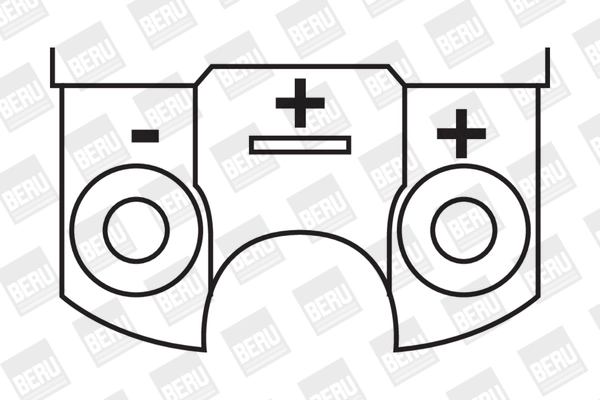 Bobine d'allumage BorgWarner (BERU) ZS316