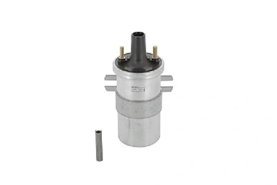 Bobine d'allumage BorgWarner (BERU) ZS546