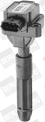 BORGWARNER (BERU) ZS041