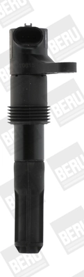 Bobine d'allumage BorgWarner (BERU) ZS321