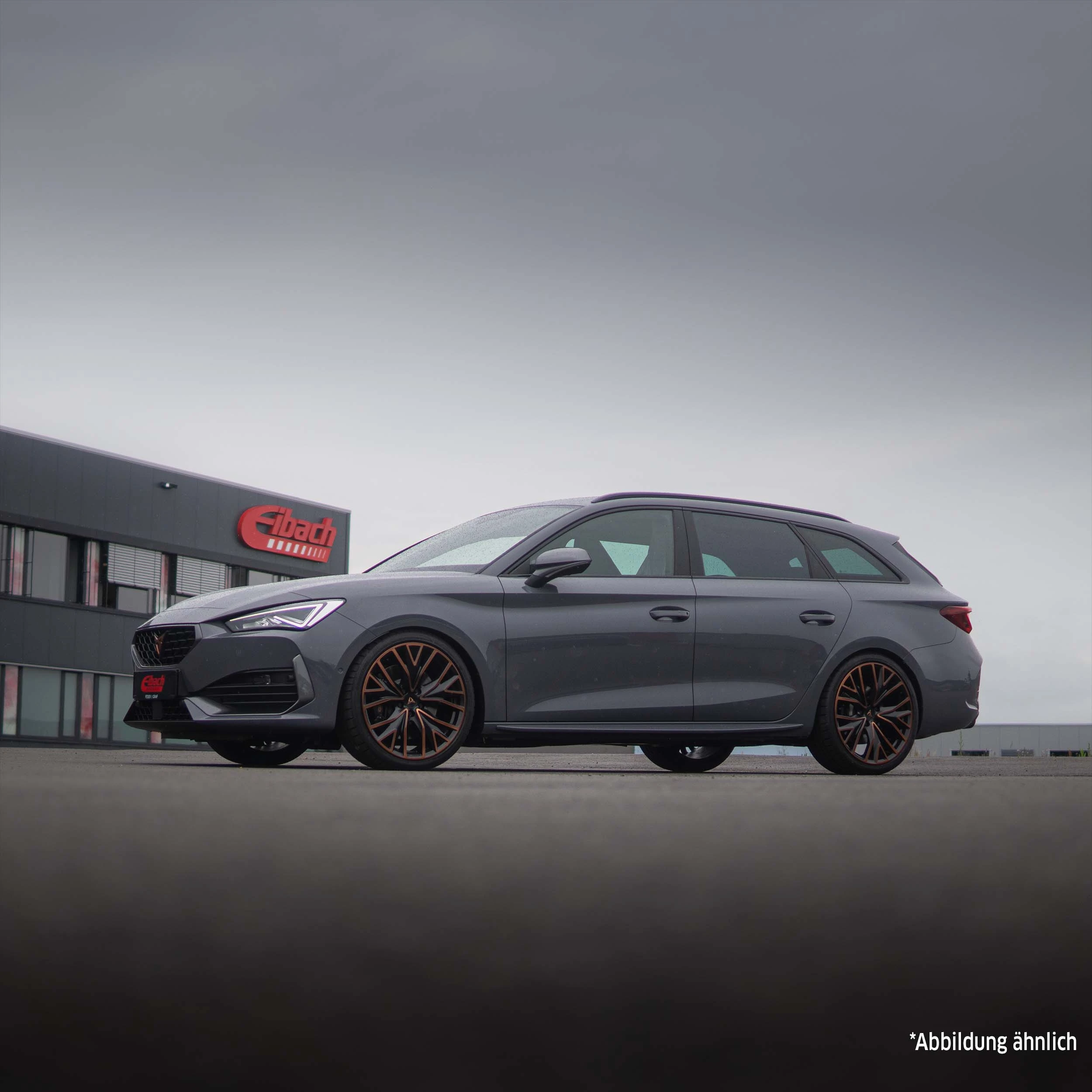 Kit de suspension, ressorts EIBACH E20-81-018-01-22