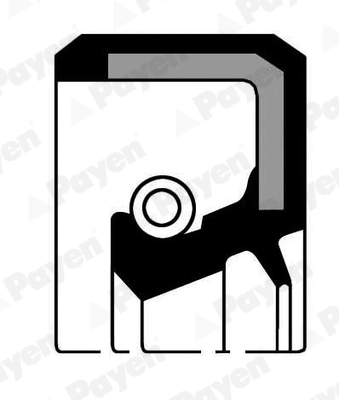 Bague d'étanchéité, différentiel PAYEN NJ186