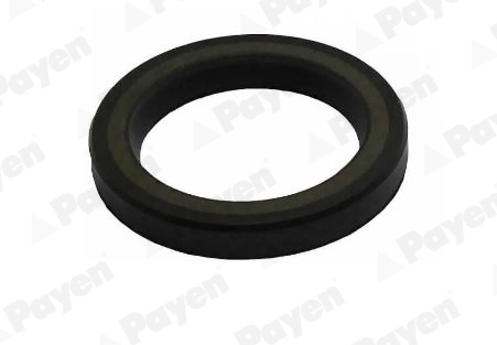 Shaft Seal, crankshaft