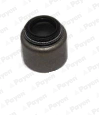 Seal Ring, valve stem