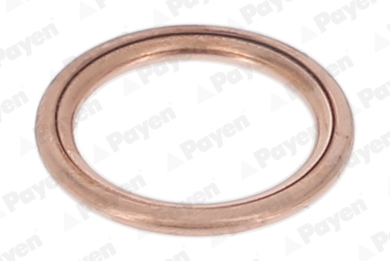 PAYEN PA349 — Прокладка зливної горловини двигуна 16X22X2 (вир-во PAYEN)