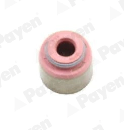 Seal Ring, valve stem