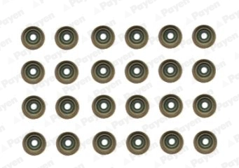 Jeu de joints d'étanchéité, tige de soupape PAYEN HR5121