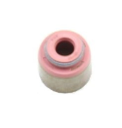 Seal Ring, valve stem