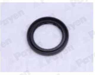 Bague d'étanchéité, moyeu de roue PAYEN NJ743