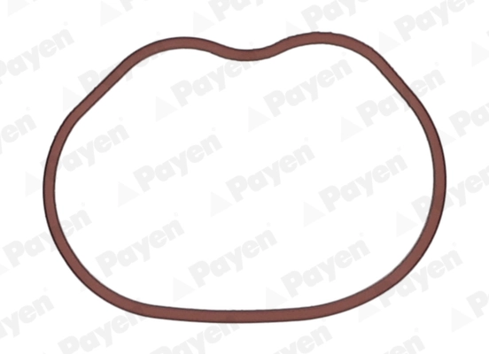 PAYEN JD6166 — Прокладка колектора IN FORD 1.25/1.4/1.6 16V/HWDA/HWDB (4) (вир-во Payen)