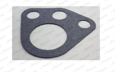 Bague d'étanchéité, pompe à huile PAYEN LR922