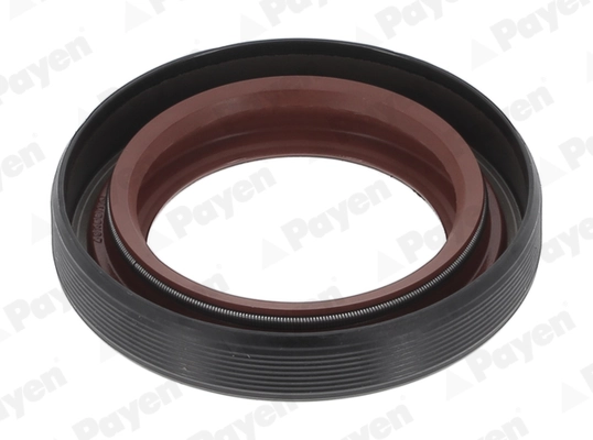Bague d'étanchéité, différentiel PAYEN NA5205